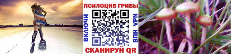 Галлюциногенные грибы Cubensis  Тула 